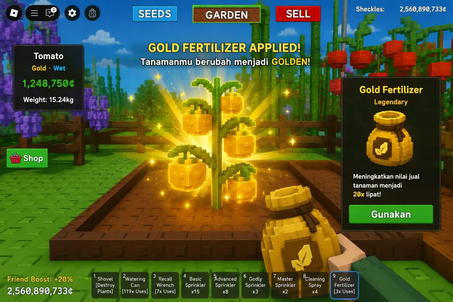 Gold Fertilizer mengubah tanaman Tomat menjadi emas Gold Fertilizer diterapkan pada tanaman Grow a Garden hingga berubah menjadi emas